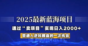 2025年蓝海项目，如何通过“网创项目”日入2000+-俗人圈网创