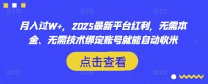 月入过W+，2025最新平台红利，无需本金、无需技术绑定账号就能自动收米-俗人圈网创