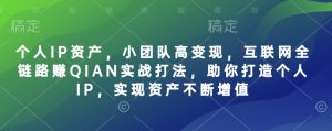 个人IP资产，小团队高变现，互联网全链路赚QIAN实战打法，助你打造个人IP，实现资产不断增值-俗人圈网创