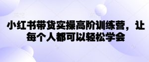 小红书带货实操高阶训练营,让每个人都可以轻松学会-俗人圈网创