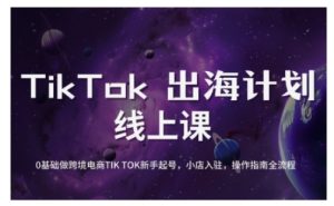 TikTok跨境电商新手起号与运营全攻略,0基础做跨境电商TIKTOK新手起号,小店入驻,操作指南全流程-俗人圈网创