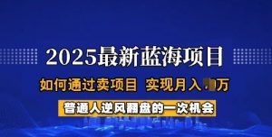 2025蓝海项目,普通人如何通过卖项目,实现月入过W,全过程【揭秘】-俗人圈网创