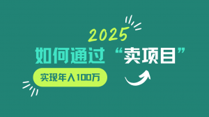 2025年如何通过“卖项目”实现年入100w-俗人圈网创