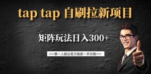 taptap拉新自刷项目,一个新用户14元,矩阵玩法日入300+-俗人圈网创