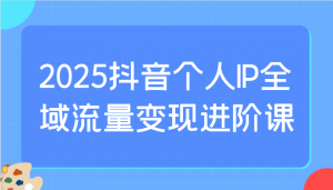 2025抖音个人IP全域流量变现进阶课:选爆品、抖音付费投流、千川投流实操及优化等-俗人圈网创