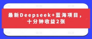 最新Deepseek+蓝海项目,十分钟收益2张-俗人圈网创