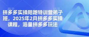 拼多多实操陪跑特训营弟子班,2025年2月拼多多实操课程,海量拼多多玩法-俗人圈网创