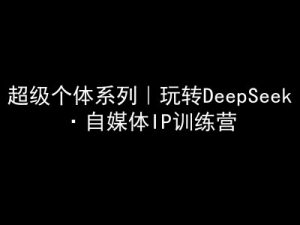 超级个体系列，玩转DeepSeek·自媒体IP训练营，deepseek教程-俗人圈网创