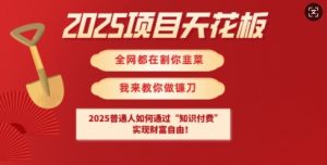 2025项目天花板普通人如何通过知识付费，实现财F自由【揭秘】-俗人圈网创