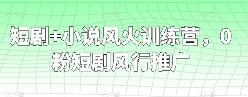 短剧+小说风火训练营，0粉短剧风行推广-俗人圈网创