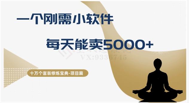 十万个富翁修炼宝典之17.一个刚需小软件，每天能卖5000+-俗人圈网创