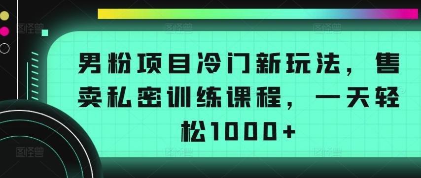 男粉项目冷门新玩法，售卖私密训练课程，一天轻松1000+【揭秘】-俗人圈网创