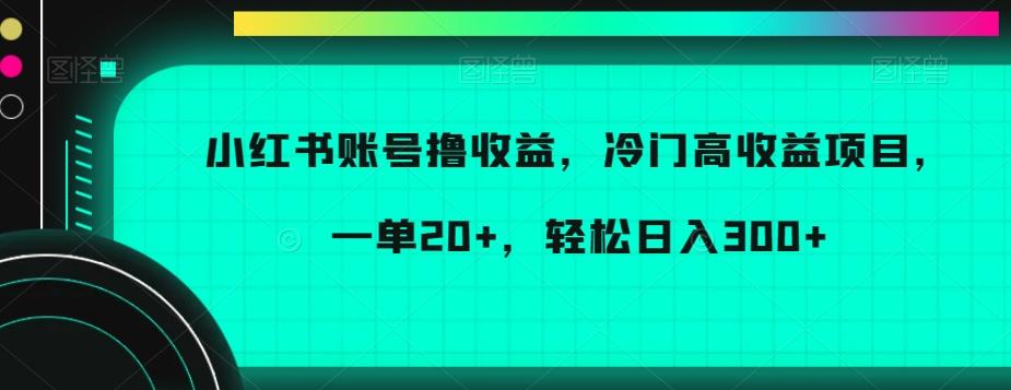 小红书账号撸收益，冷门高收益项目，一单20+，轻松日入300+【揭秘】-俗人圈网创