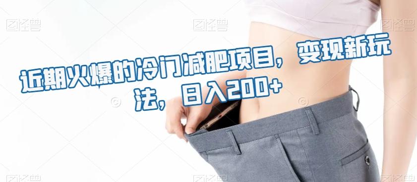 近期火爆的冷门减肥项目，变现新玩法，日入200+-俗人圈网创