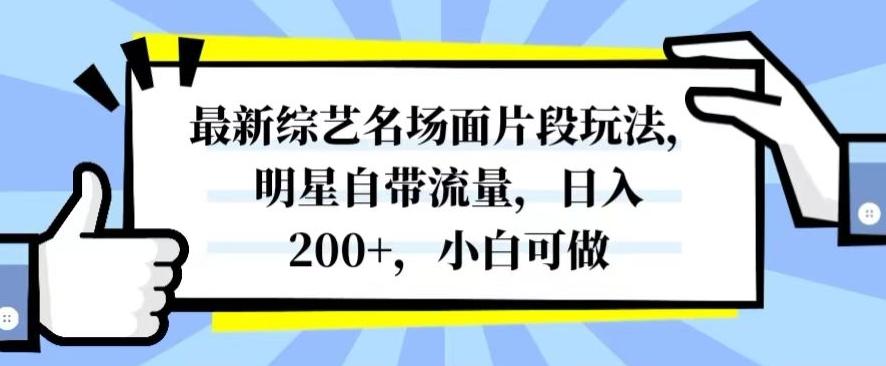 最新综艺名场面片段玩法，明星自带流量，日入200+，小白可做【揭秘】-俗人圈网创