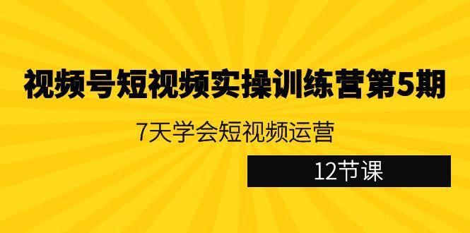 视频号短视频实操训练营第5期:7天学会短视频运营(12节课)-俗人圈网创