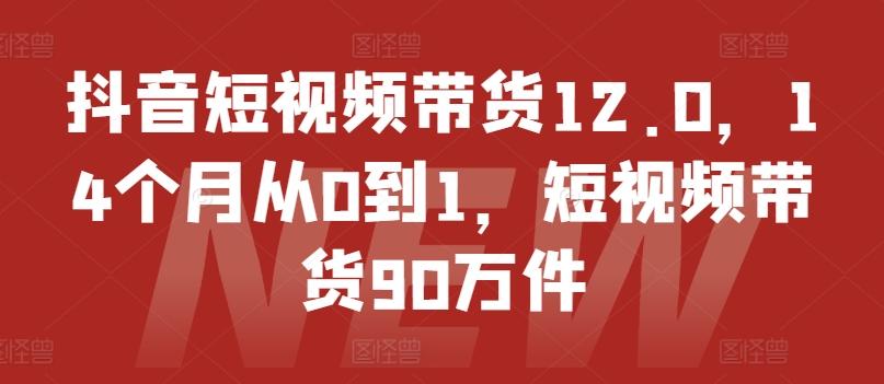 抖音短视频带货12.0，14个月从0到1，短视频带货90万件-俗人圈网创