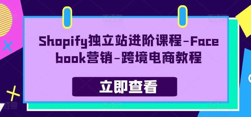 Shopify独立站进阶课程-Facebook营销-跨境电商教程-俗人圈网创