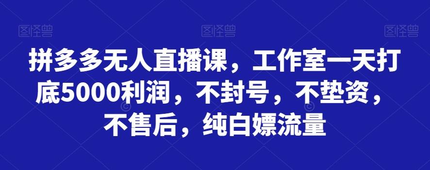 拼多多无人直播课,工作室一天打底5000利润,不封号,不垫资,不售后,纯白嫖流量-俗人圈网创
