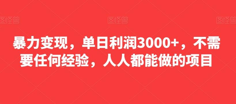 暴力变现，单日利润3000+，不需要任何经验，人人都能做的项目-俗人圈网创