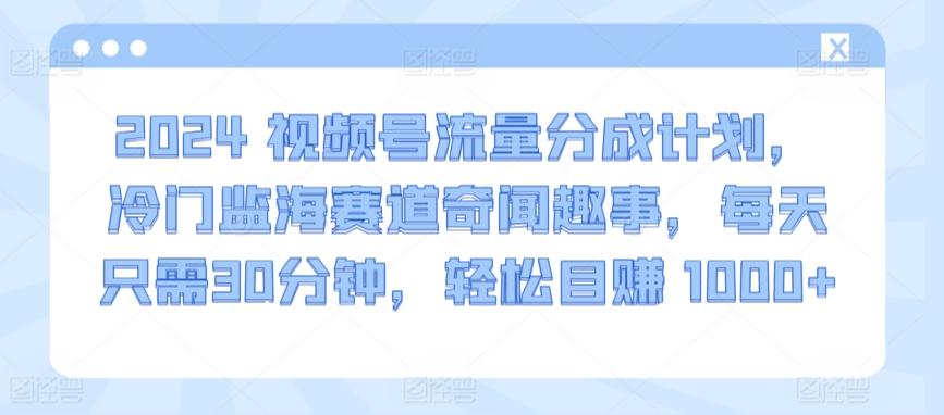 2024视频号流量分成计划,冷门监海赛道奇闻趣事,每天只需30分钟,轻松目赚 1000+【揭秘】-俗人圈网创