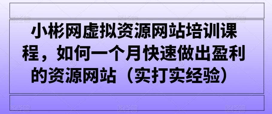 小彬网虚拟资源网站培训课程，如何一个月快速做出盈利的资源网站(实打实经验)-俗人圈网创