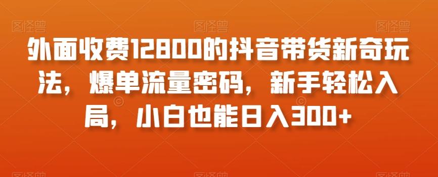 外面收费12800的抖音带货新奇玩法,爆单流量密码,新手轻松入局,小白也能日入300+【揭秘】