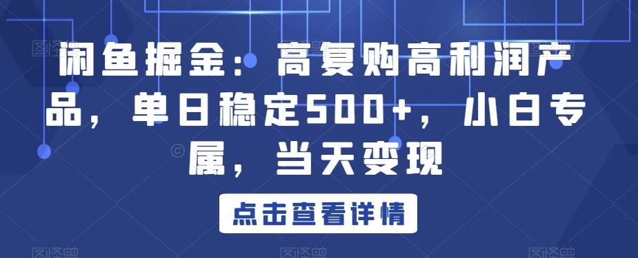 闲鱼掘金：高复购高利润产品，单日稳定500+，小白专属，当天变现-俗人圈网创