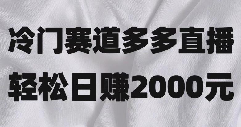 冷门赛道拼多多直播，简单念稿子，日收益2000＋【揭秘】-俗人圈网创