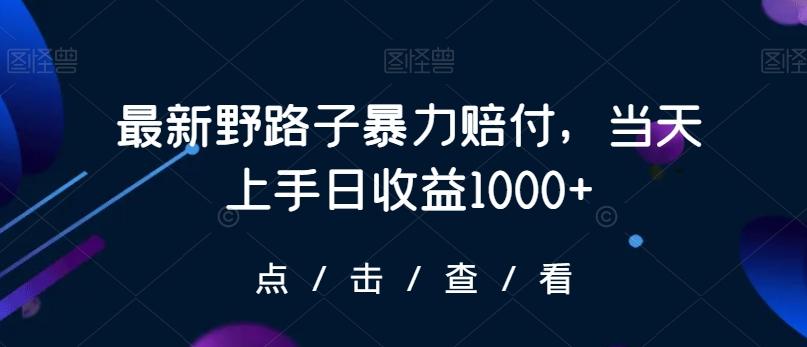 最新野路子暴力赔付，当天上手日收益1000+【仅揭秘】-俗人圈网创