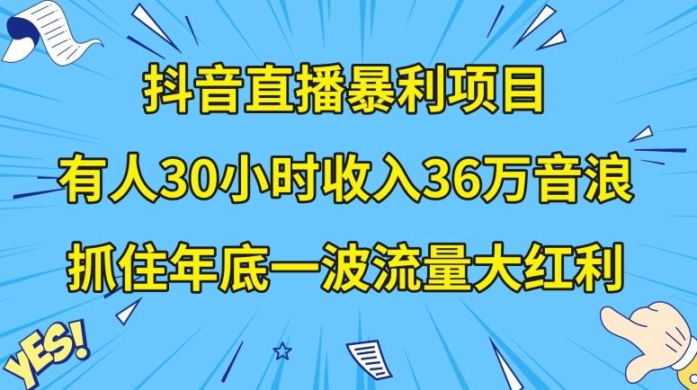 抖音直播暴利项目，有人30小时收入36万音浪，公司宣传片年会视频制作，抓住年底一波流量大红利【揭秘】-俗人圈网创