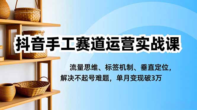抖音手工赛道运营实战课,流量思维、标签机制、垂直定位,解决不起号难题,单月变现破3万-俗人圈网创