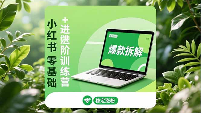 小红书零基础+高阶训练营:安全养号、爆款拆解、长效运营,实现稳定涨粉与变现-俗人圈网创