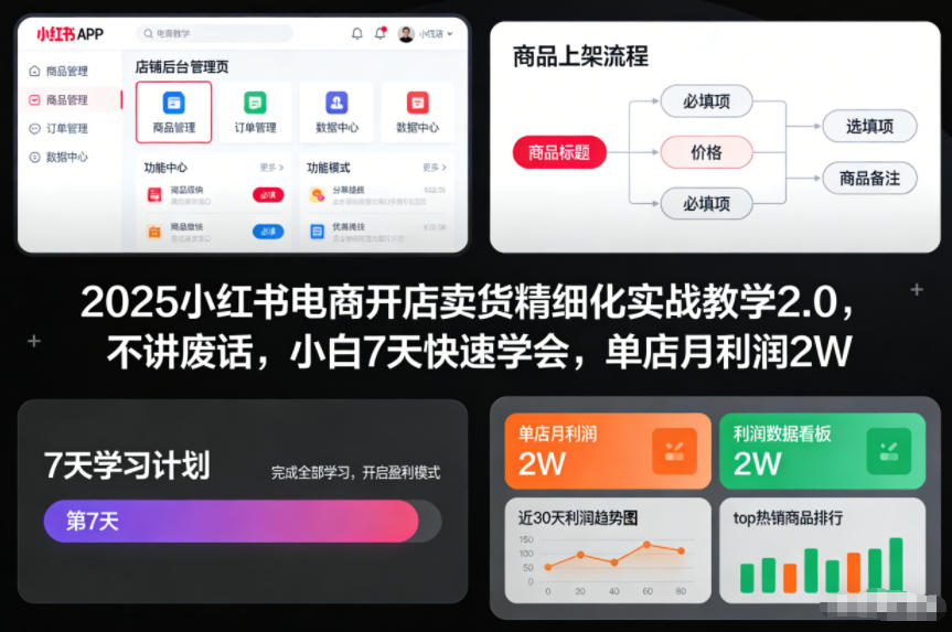 2025小红书电商开店卖货精细化实战教学2.0，不讲废话，小白7天快速学会，单店月利润2W-俗人圈网创