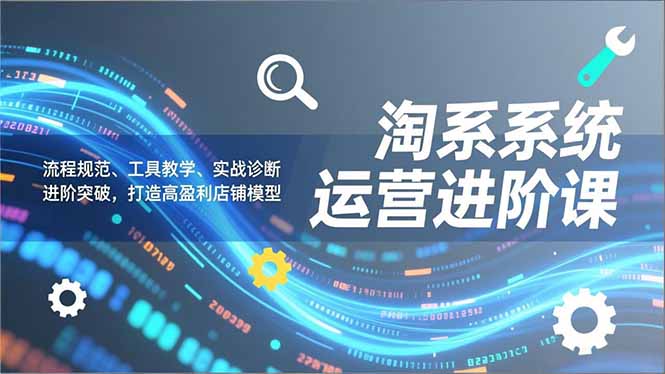 淘系系统运营进阶课2.0，流程规范、工具教学、实战诊断，进阶突破，打造高盈利店铺模型-俗人圈网创