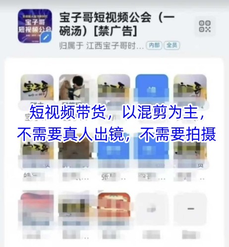 宝子哥头部团队短视频带货，以混剪为主，不需要真人出镜，不需要拍摄【更新11月】-俗人圈网创