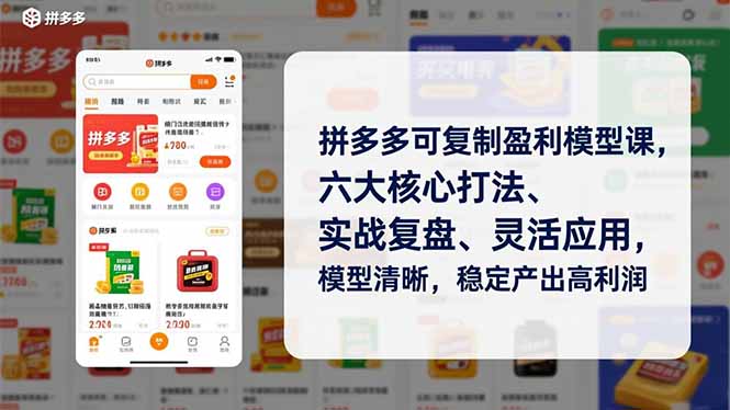 拼多多可复制盈利模型课，六大核心打法、实战复盘、灵活应用，模型清晰，稳定产出高利润-俗人圈网创