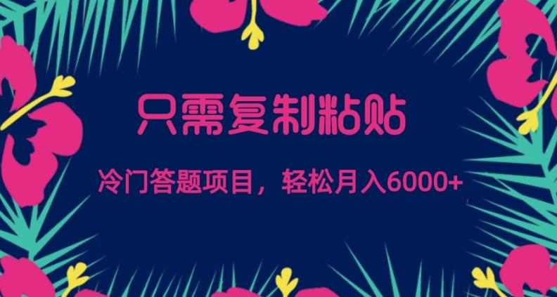 只需复制粘贴，冷门答题项目，轻松月入6000-俗人圈网创