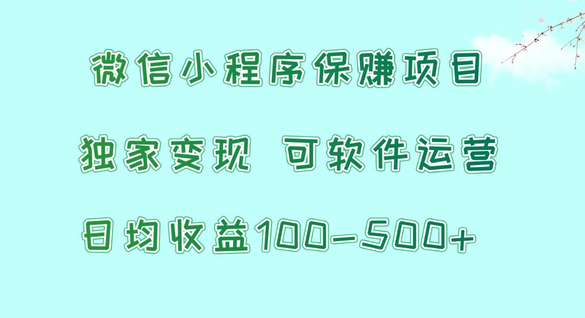 微信小程序保赚项目，日均收益100~500+，独家变现，可软件运营-俗人圈网创