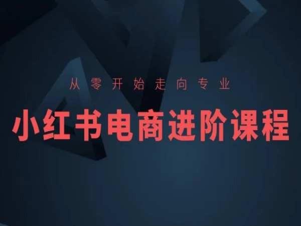 从零开始走向专业，小红书电商进阶课程-俗人圈网创