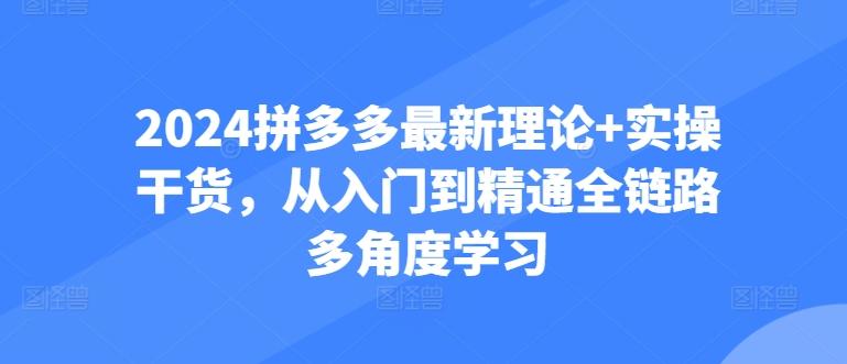 2024拼多多最新理论+实操干货，从入门到精通全链路多角度学习-俗人圈网创