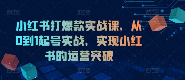 小红书打爆款实战课，从0到1起号实战，实现小红书的运营突破-俗人圈网创