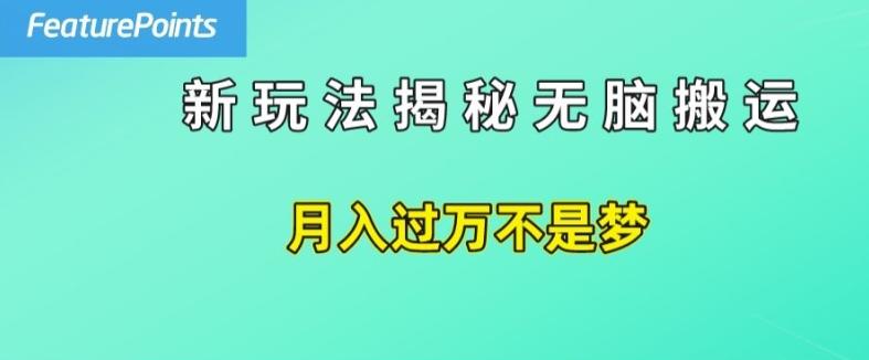 简单操作，每天50美元收入，搬运就是赚钱的秘诀【揭秘】-俗人圈网创