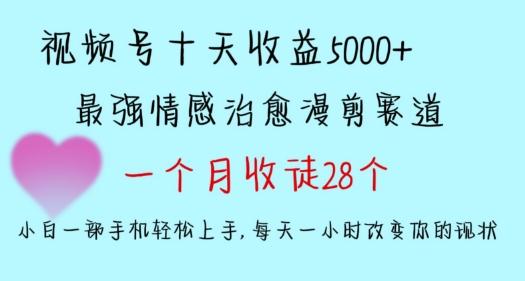 十天收益5000+，多平台捞金，视频号情感治愈漫剪，一个月收徒28个，小白一部手机轻松上手【揭秘】-俗人圈网创