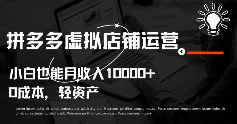 拼多多虚拟店铺运营小白也能月收入10000+【揭秘】-俗人圈网创