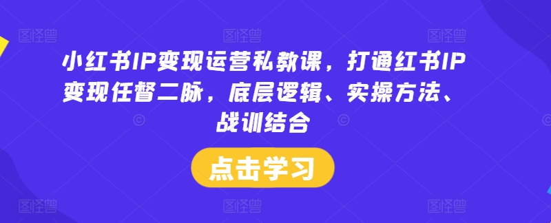 小红书IP变现运营私教课，打通红书IP变现任督二脉，底层逻辑、实操方法、战训结合-俗人圈网创