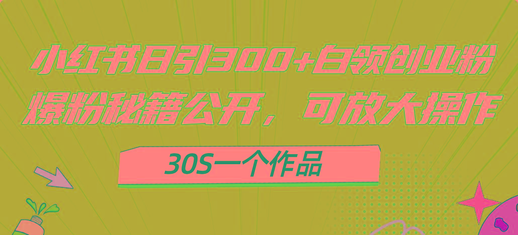 小红书日引300+高质白领创业粉,可放大操作,爆粉秘籍!30s一个作品-俗人圈网创