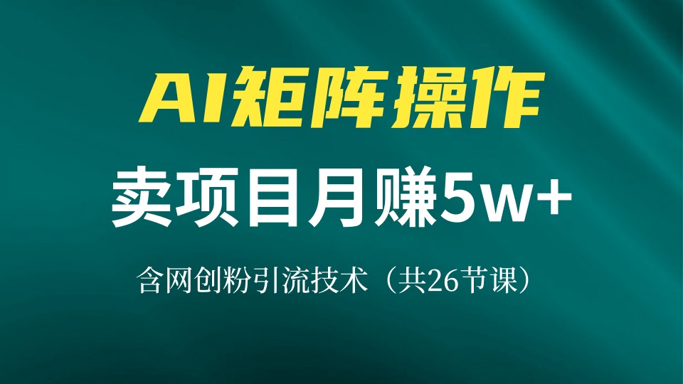 网创IP打造课，借助AI卖项目月赚5万+，含引流技术(共26节课-俗人圈网创