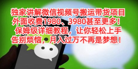 独家讲解微信视频号搬运带货项目，保姆级详细教程-俗人圈网创