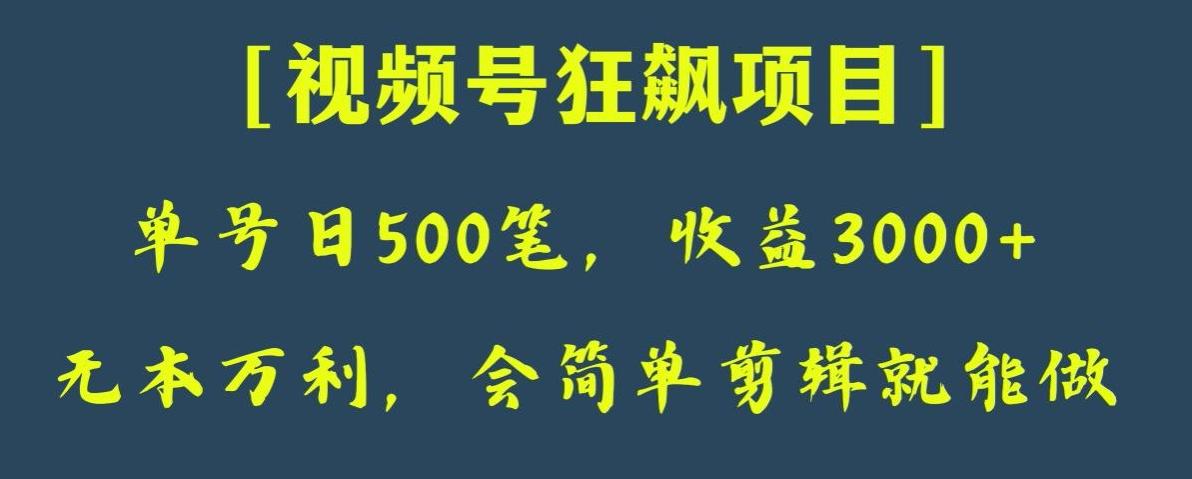 日收款500笔，纯利润3000+，视频号狂飙项目，会简单剪辑就能做【揭秘】-俗人圈网创